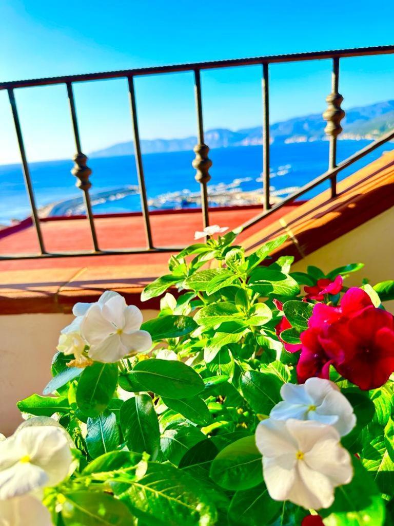 Cala Gonone House Daire Dış mekan fotoğraf